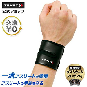 TCY T|[^[ FILMISTA WRIST  ^ T|[^[ e[sO oe[W X|[c oXP oXPbg{[ 싅 싅 ejX o[{[ St oh~g \tg{[