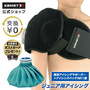 TCY UXgWjAACVO WjA LbY qǂ ǂ q qp T|[^[ zamst MǑ΍ p ₷ P ˂ N[_E ؓ oXPbg oXPbg