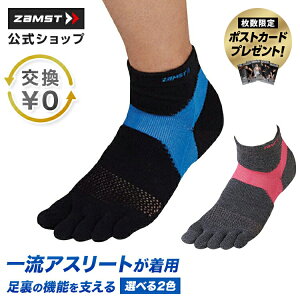 TCY X|[c\bNX UXg  ptH[}Xێ J΍ ^ z  ʋC bV\ gbvAX[gp \bNX 5{w\bNX C AS-1(5{w)