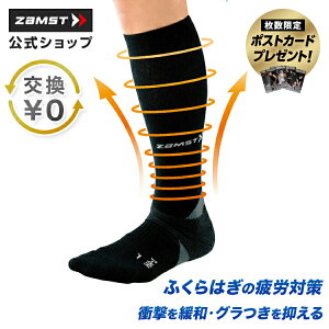 TCY X|[c\bNX UXg ӂ͂  ptH[}Xێ iK J΍ Ռɘa z  gbvAX[gp \bNX C J[tX[u J[tJo[ 