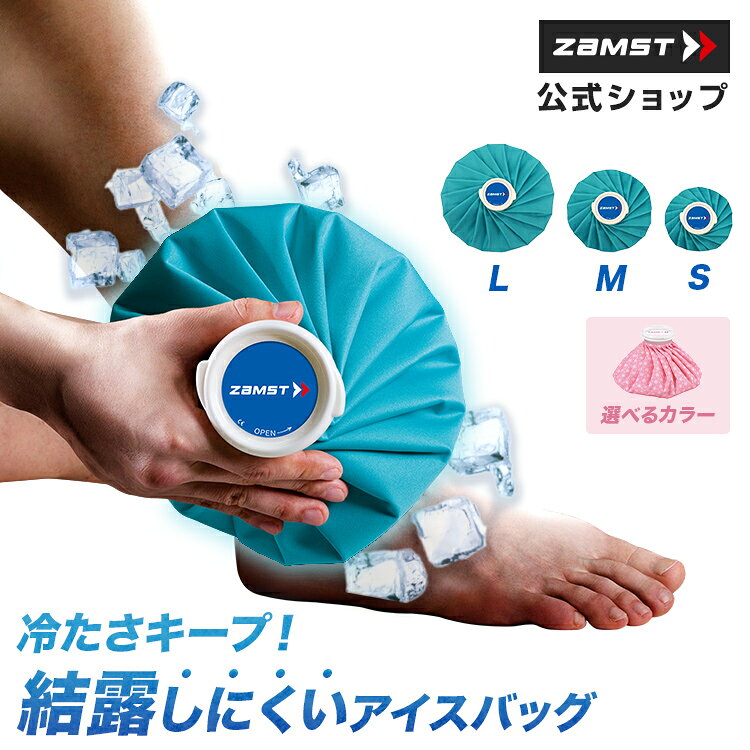 ザムスト(ZAMST) アイスバッグ 氷のう 37812