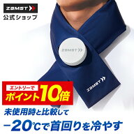 【エントリーでポイント10倍 6/11 1:59まで】 冷感アイテム アイスバッグ首用 氷 首 冷却 ザムスト 熱中…