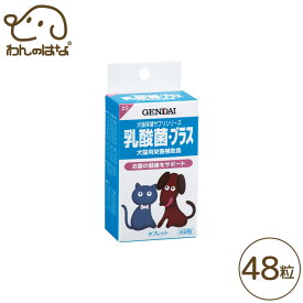 現代製薬 乳酸菌・プラス 48粒 (1粒100mg)