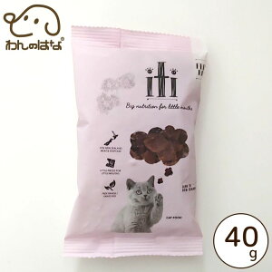 iti(CeB) Lbg `LT[ fBi[ 40g