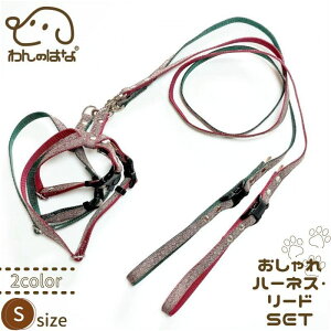 ̂͂ a n[lXE[hSET STCY bh O[1ll1Zbg