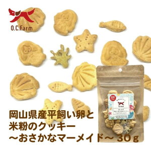 OCt@[ RYƕĕ̃NbL[ `}[Ch` 30g