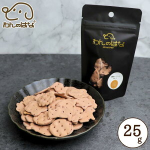 ̂͂ _ۃrXPbg  |PbgTCY 25g