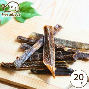 ̂͂ kCYJƂႯXeBbN |PbgTCY 20g