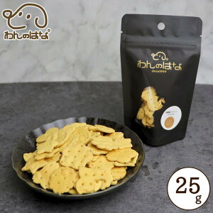 ̂͂ _ۃrXPbg ^M^P |PbgTCY 25g