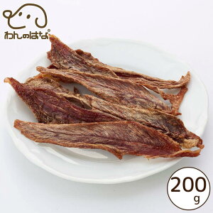 ̂͂  傫߃Jbg ƑTCY 200g p Y Y 