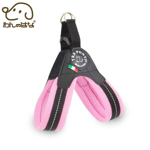 yTRE PONTI g|eBztBbrA AWX^u^Cv \tgbV pXey3 3.5zS4F