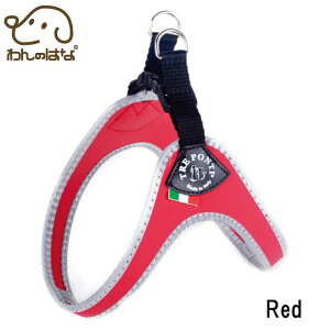 yTRE PONTI g|eBztBbrA tNeBuy1 1.5zS4F