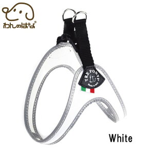 yTRE PONTI g|eBztBbrA tIy3z S3F