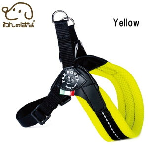 yTRE PONTI g|eBztBbrA AWX^u^Cv \tgbVy3 3.5zS6F