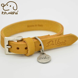 yDa Vinci _B`zybCObTJ[^J[y2.5@3@3.5zS5F