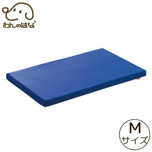 �A���������@���}�b�g M�T�C�Y