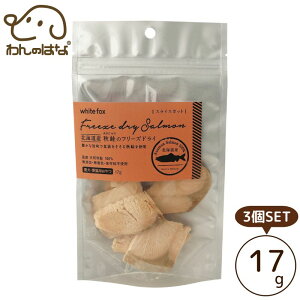 []zCgtHbNX kCY H̃t[YhC _CX ELp 17g 3SET