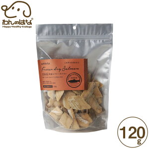 zCgtHbNX kCY H̃t[YhC XCX ELp 120g