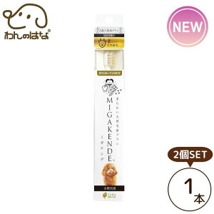 _炩VRюuV ~KPf _炩MA ^p 1{ 2SET