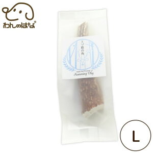 ハミングドッグ エゾ鹿の角(Lサイズ)