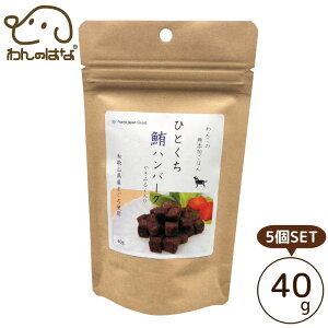 iLWp 񂱂̖Y͂ ЂƂno[O 40g 5SET