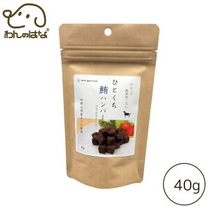 iLWp 񂱂̖Y͂ ЂƂno[O 40g