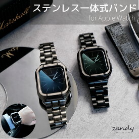 Apple Watch11登場！【ステンレス一体式バンド】A001アップルウォッチバンド 一体式ベルト Apple Watch series11 10 9 8 7 6 5 4 SE アップルウォッチ ベルト ケース カバー 一体型 カッコいい メンズ ステンレス 42 46 44 45 40 41mm対応 おしゃれ レディース Gショック風