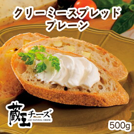 【宮城県産品】蔵王チーズ 当店一番人気！クリーミースプレッドプレーン500g