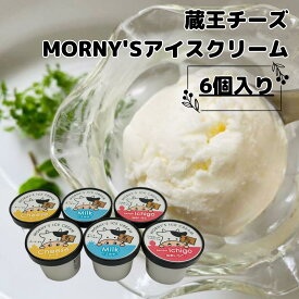 【送料無料】蔵王チーズ MORNY`Sアイスクリーム6個入り ※冷凍品のため冷蔵品とは同梱できません。