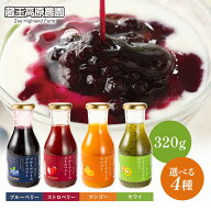【30％オフセール】 蔵王高原農園 フルーツソース320g 1本/6本/12本セット ブルーベリー マンゴー キウイ…