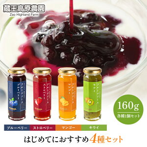 �y�|�C���g5�{�z �y������ 4��Z�b�g�z���������_�� �t���[�c�\�[�X160g 4�{���� �u���[�x���[ �X�g���x���[ �}���S�[ �L�E�C�t���[�c ���[�O���g�\�[�X �ʕ� �f�U�[�g ���H �a�̎R�Y�� �M�t