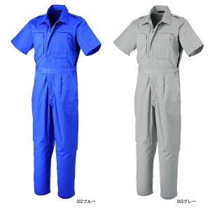 y񂹁zATqY ciM CA-8700 (ZD031) AGRADE AOCh 2021NJ^Ofڃf