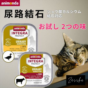 Aj_ L AH AH AH A APA phPA pHRg[ yVE_JVE΁z Ö@H Lp y2Zbgz(E)Lp Lbgt[h ʋl ˂