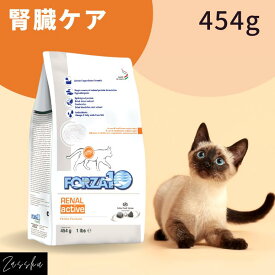 フォルツァ10 猫 腎臓ケア 454g猫用 腎臓サポート カリカリ ドライフード 療法食 腎臓 ドライ フード キャットフード 腎臓病 慢性腎不全 腎不全 フォルツァ10【着後レビュー特典付き】