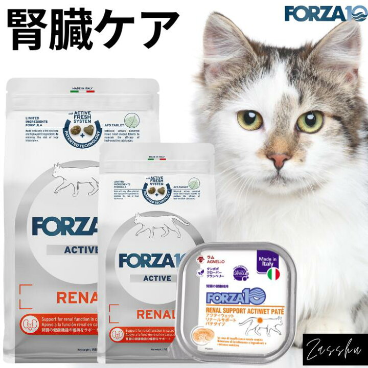 楽天市場】猫 腎臓 猫腎臓サポートフード 療法食 フォルツァ 