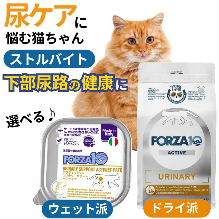 楽天市場】猫 ストルバイト 療法食 お試し【選べるウェット / ドライ 