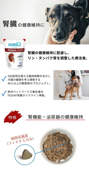 楽天市場 100g 3袋入り 犬 腎臓病 フード 腎臓フード フォルツァ Forza10 リナールアクティブ 腎臓食 療法食 食欲不振 ドライフード 犬用 腎臓犬 腎臓ケア 腎臓ケアドライ フード 低たんぱく プロテクト ケア サポート カリカリ ドライ おためし 犬forza100gx3 楽天市場 100g 3袋入り 犬 腎臓病 フード 腎臓フード フォルツァ Forza10 リナールアクティブ 腎臓食 療法食 食欲不振 ドライフード 犬用 腎臓犬 腎臓ケア 腎臓ケアドライ フード 低たんぱく プロテクト ケア サポート カリカリ ドライ おためし 犬forza100gx3