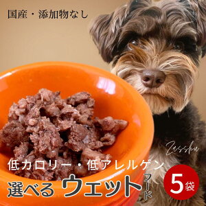 犬 ドッグフード 防災 長期保存 【5袋セット】 パウチ レトルト 国産 無添加 非常食 鹿肉 馬肉 野菜 鮭 真鯛 低脂肪 ウェット ご飯 シニア 犬用 長期保存 非常用 防災用 長期保存食 鹿 肉 魚 ア