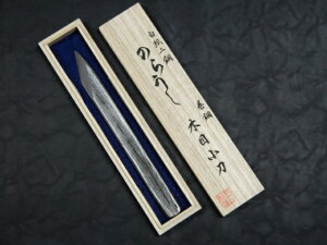 R{@̂炤@񍆁@|@ؖڏ@ @@˔