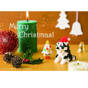 imubN|XgJ[h / bZ[WJ[h / nXL[ƃc[ NX}XJ[h NP-047 ^ nanoblock imubN |XgJ[h bZ[W ̂܂ܗXo gy