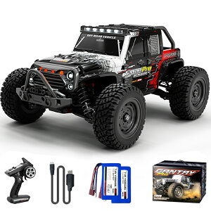 yVoꍂWRz1:16 uVX WRJ[ 70km/h l It[h  X|[cJ[ 4WD 2.4Ghz 3iK̑x  RJ[ d   ZKF؍ς 쎞40