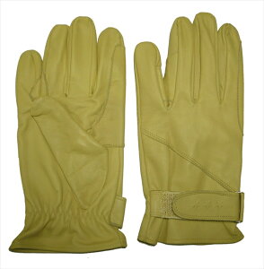 |Cg2{IZKTG-200{vc[OO[uyLCG[zxN^CvꗣR~R~}g^AlR|X֖{BAlŗɂ|Xg֓I