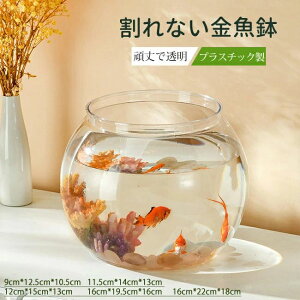 �v���[���g �� �� ���� ���� ���_�J �{�[�� ��̓� ������ ��