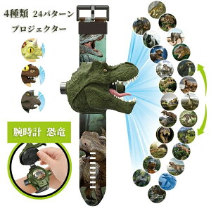 ���v 24�p�^�[�� �_�C�i�\�[ 4��� �v���W�F�N�^�[ ���� �r���v