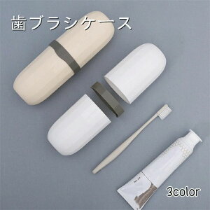 ���[ �q�� �E�T�M ���s�p �y�� �I�t�B�X �g���x�� ������� �g��