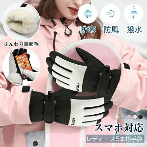 �X�m�[ 5�{�w 5�F �� �O���[�u �o�C�N ��� �X�L�[ �X�m�[�{�[�h