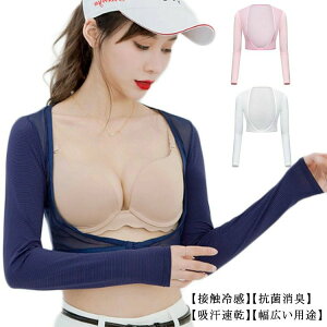 fB[X C StEGA Ci[fB[X StCi[