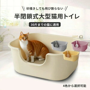  ^Lp L̍HwTCh  360°ېOK LgC