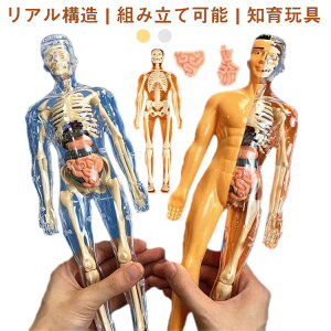 �m �l�̍\�� �g�ݗ��Ď� ���i �������� �l�̖͌^ �ߋ� �l�̍\��