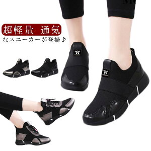 �H �� �t �O������ �^���C �J�W���A�� ���Ȃ��C �ʋC ���y�� �w�l�C �X���b�|�� �����d�� ��l �㗚�� �g���[�j���O�V���[�Y